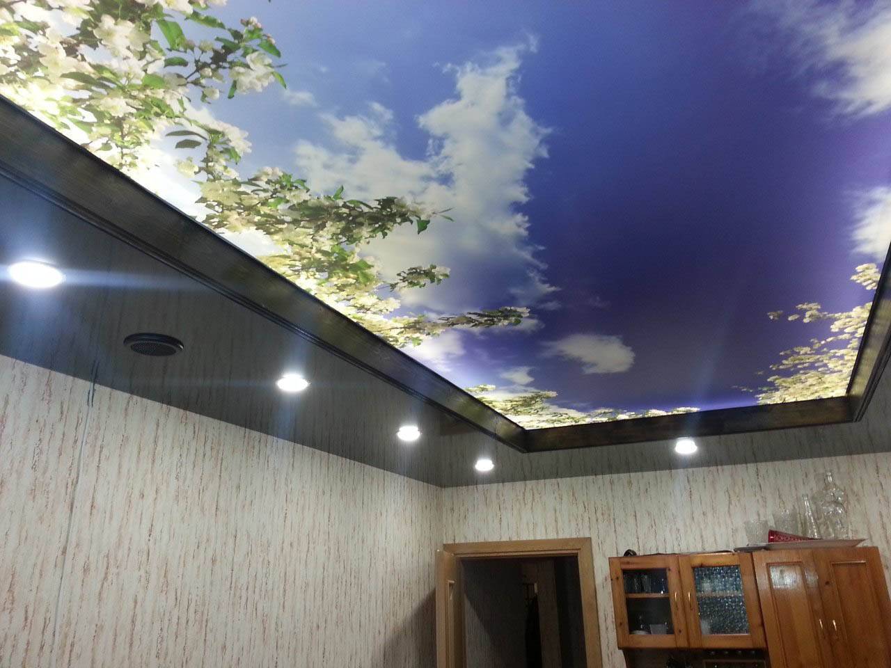 Навесные потолки фото для зала двухуровневые