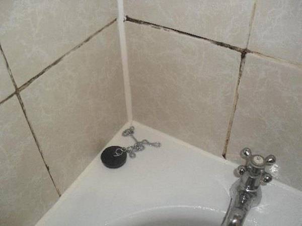 Старая затирка между плиточных швов на стенах в ванной