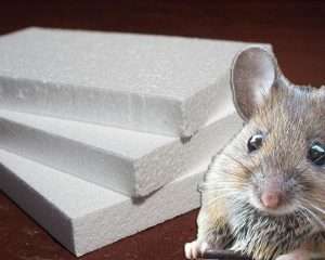 Живут ли мыши в минеральной вате